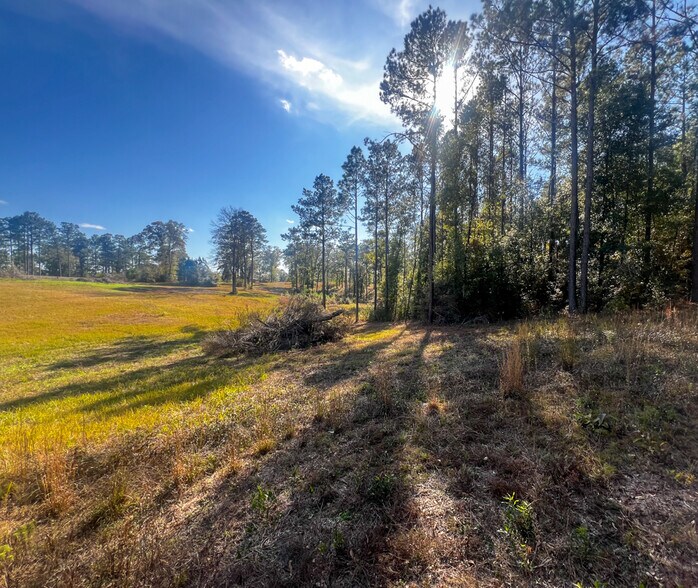 More Photos Of 0 Highway 198, Lucedale Land For Sale
