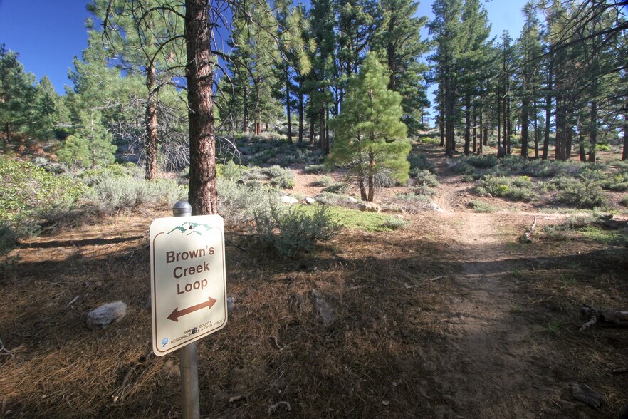 More Photos Of 4100 Joy Lake Rd, Reno Land For Sale