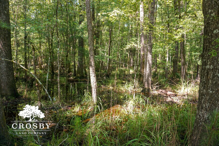 More Photos Of 3009 Lowcountry Drive, Ridgeland Land For Sale