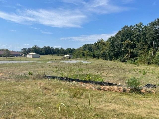 More Photos Of 2550 Whitfield Rd, Clarksville Land For Sale