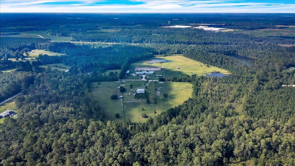 More Photos Of 1075 Osteen Rd, Bloomingdale Land For Sale