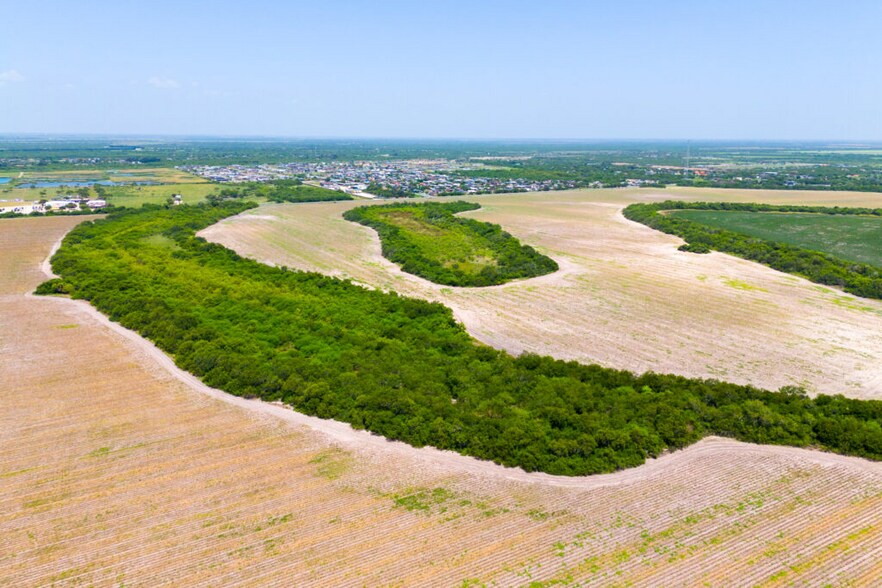 More Photos Of FM 1421 Rd, Brownsville Land For Sale