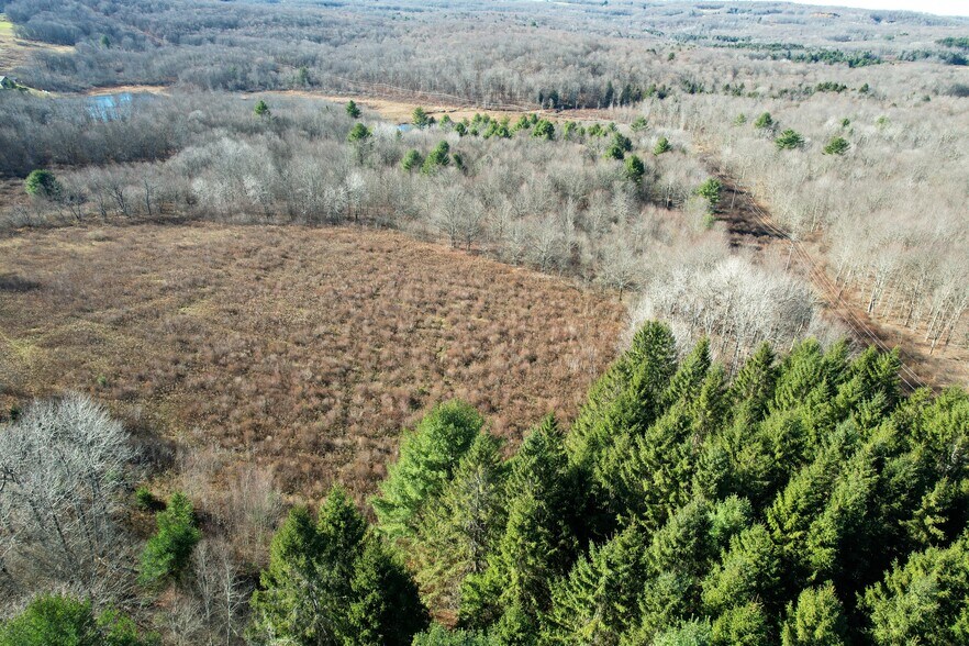 More Photos Of 263 Como Rd, Lake Como Specialty For Sale