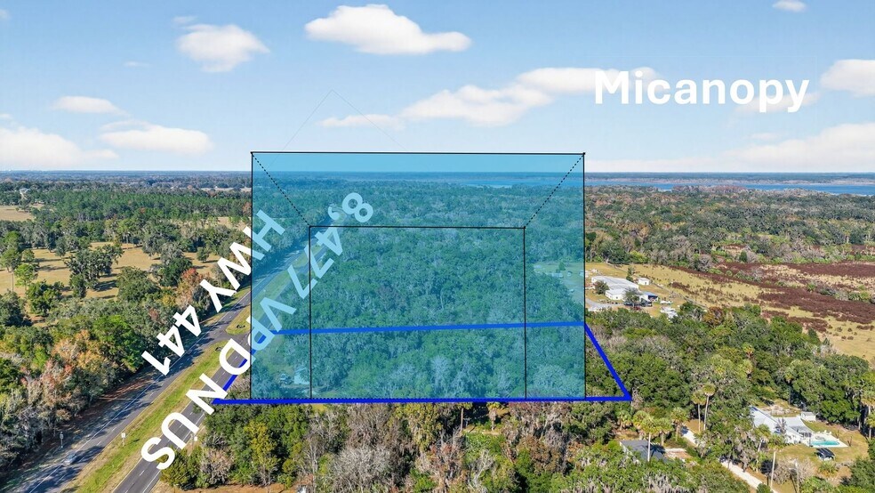 More Photos Of 21121 Highway 441 N, Micanopy Land For Sale