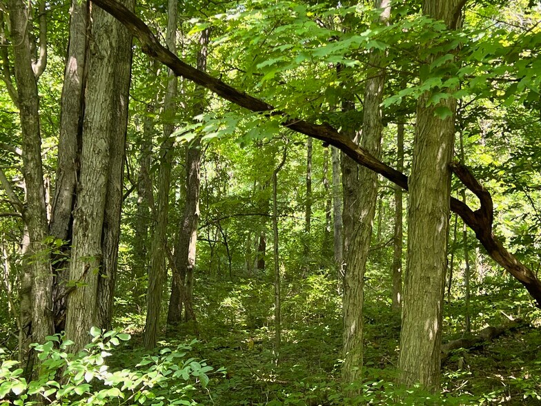 More Photos Of 312 Vance Dr, Burgettstown Land For Sale