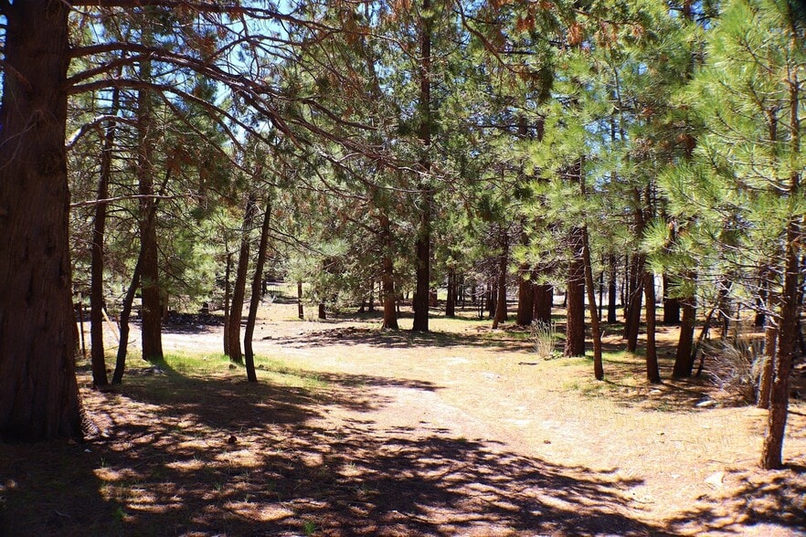 More Photos Of 42167 Big Bear Blvd, Big Bear Lake Land For Lease