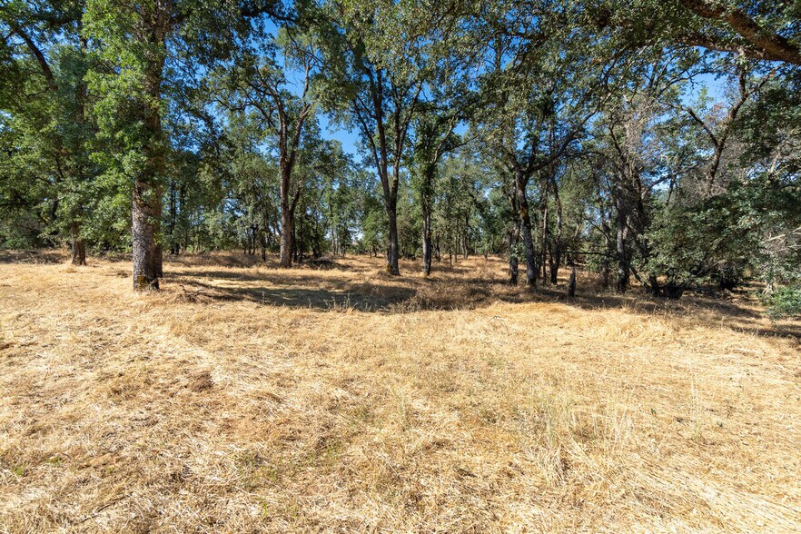 More Photos Of Shenandoah Road @ Fiddletown Road, Plymouth Land For Sale