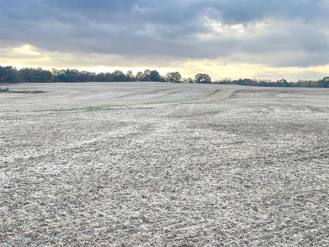 More Photos Of 00 Hwy & Anderson Ave, Brownsville Land For Sale