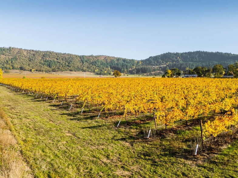 More Photos Of 8690 Lookingglass Rd, Roseburg Land For Sale