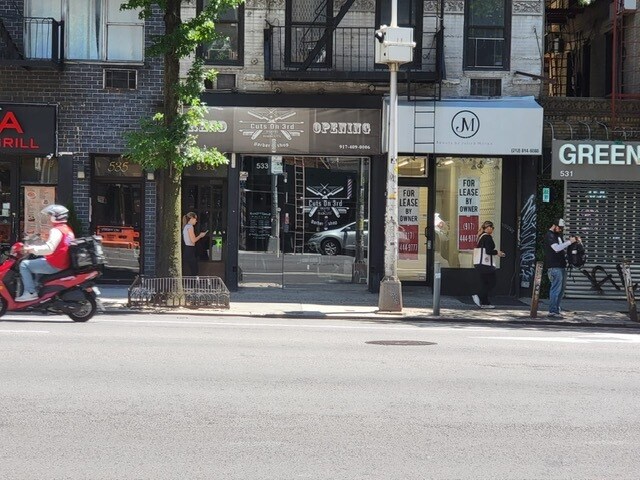 More Photos Of 533 3rd Ave, New York Apartments For Lease
