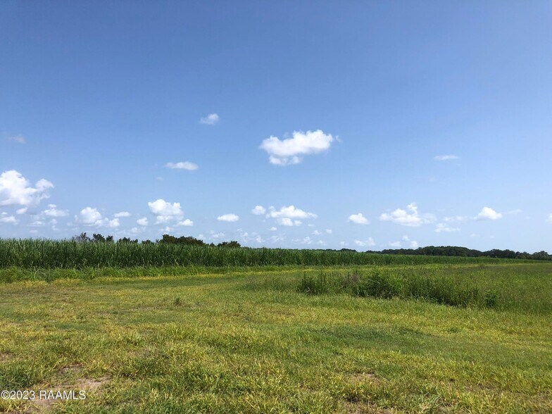 More Photos Of TBD Trahan Rd., New Iberia Land For Sale