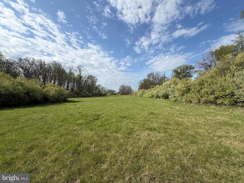 More Photos Of 10068 Harry Byrd Hwy, Berryville Land For Sale
