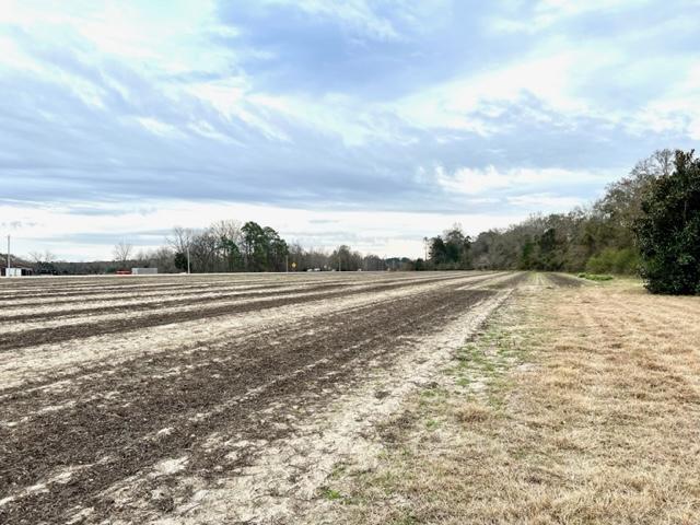 More Photos Of 8291 GA Highway 67, Brooklet Land For Sale