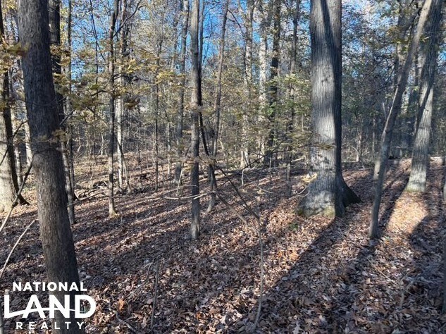 More Photos Of HWY 301, Horn Lake Land For Sale