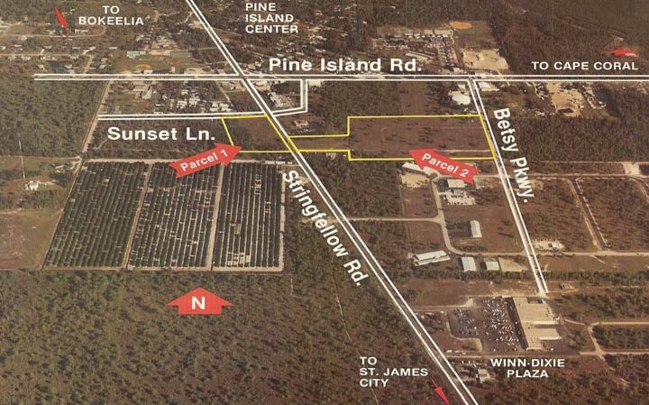 Primary Photo Of 10361 Stringfellow Rd, Saint James City Land For Sale