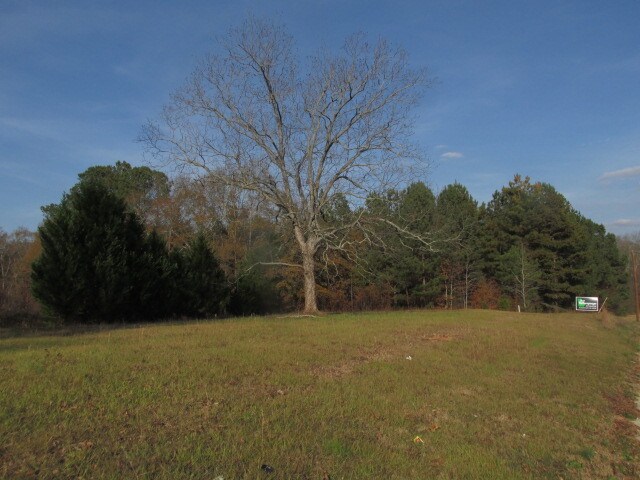 More Photos Of 1750 Georgia Hwy 138, Covington Land For Sale