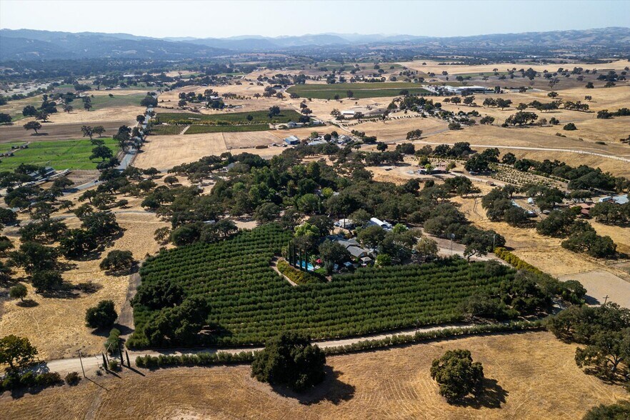 More Photos Of 2985 Templeton Rd, Templeton Winery Vineyard For Sale