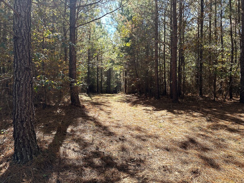 More Photos Of tbd Green Creek Rd, Schuyler Land For Sale