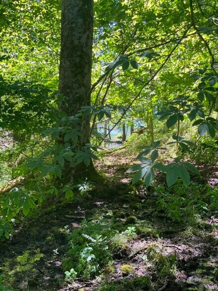 More Photos Of Chapman Rd, LaFollette Land For Sale