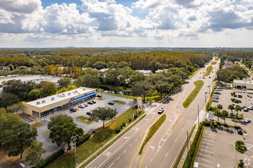 More Photos Of 12041-12059 Anderson Rd, Tampa Storefront For Lease