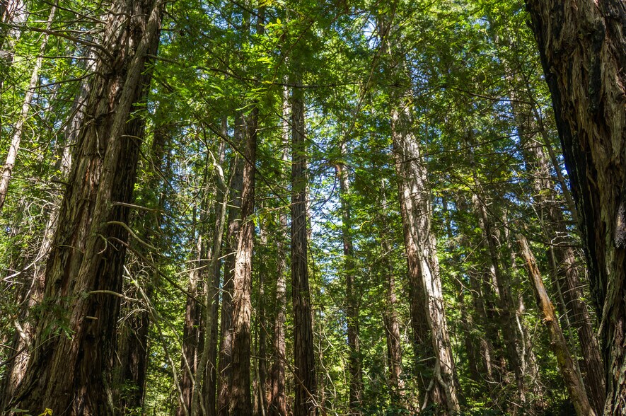 More Photos Of 16401 South Highway 1, Manchester Land For Sale