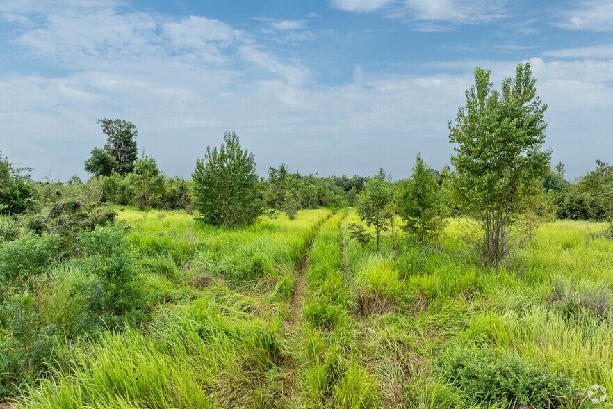 More Photos Of US 27-41/SR 24, Archer Land For Sale