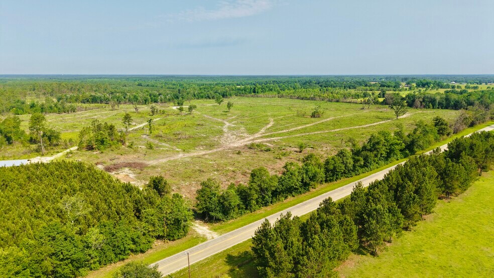 More Photos Of 17675 Cedar Springs Rd, Blakely Land For Sale