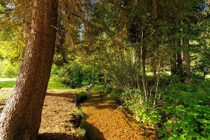 More Photos Of 7000 Graves Creek Rd, Lolo Bar For Sale