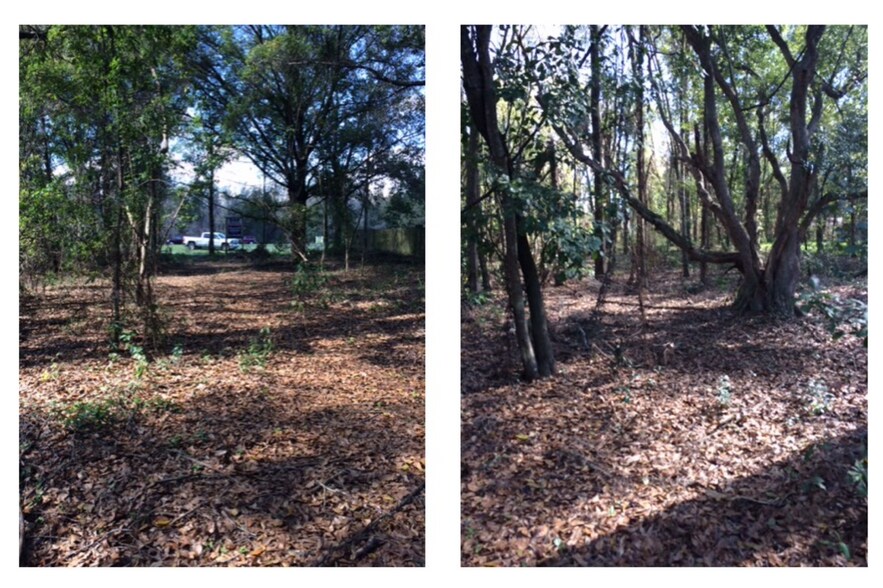 More Photos Of 19447 N Dale Mabry Hwy, Lutz Land For Sale