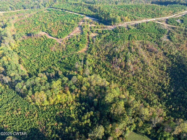 More Photos Of 7 Tucker Rd, Bath Springs Land For Sale