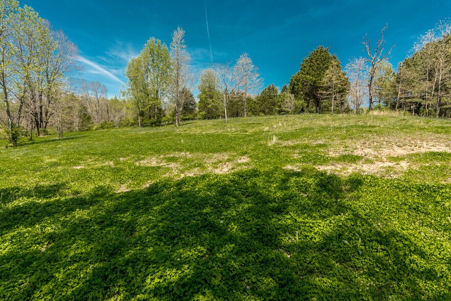 More Photos Of 2590 Couchville Pike, Nashville Land For Sale