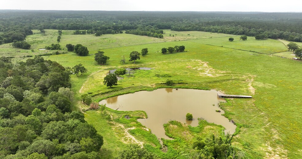 More Photos Of 44 Bucking Bull Rd, New Waverly Land For Sale