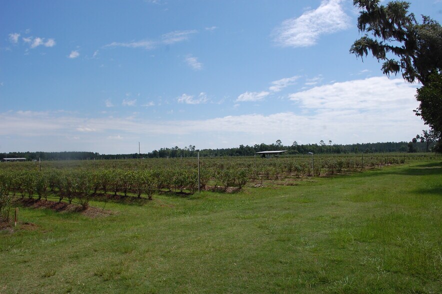 More Photos Of 18811 SE 243rd St, Hawthorne Specialty For Sale