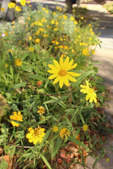 More Photos Of 420 Downing St, Denver Office Residential For Lease