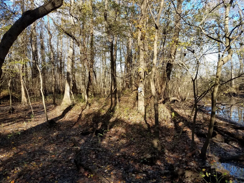 0 Don Juan Rd, Hertford, NC 27944 Land For Sale