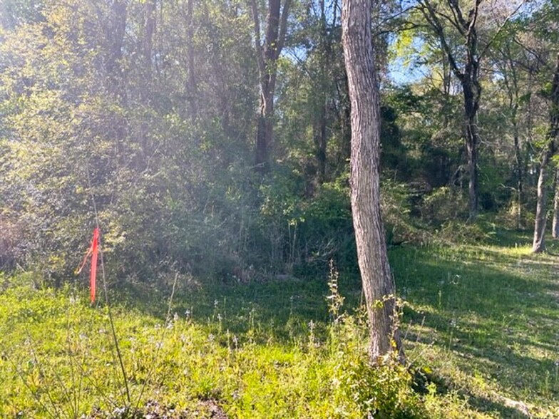 More Photos Of Sleepy Hollow Road, Conroe Land For Sale