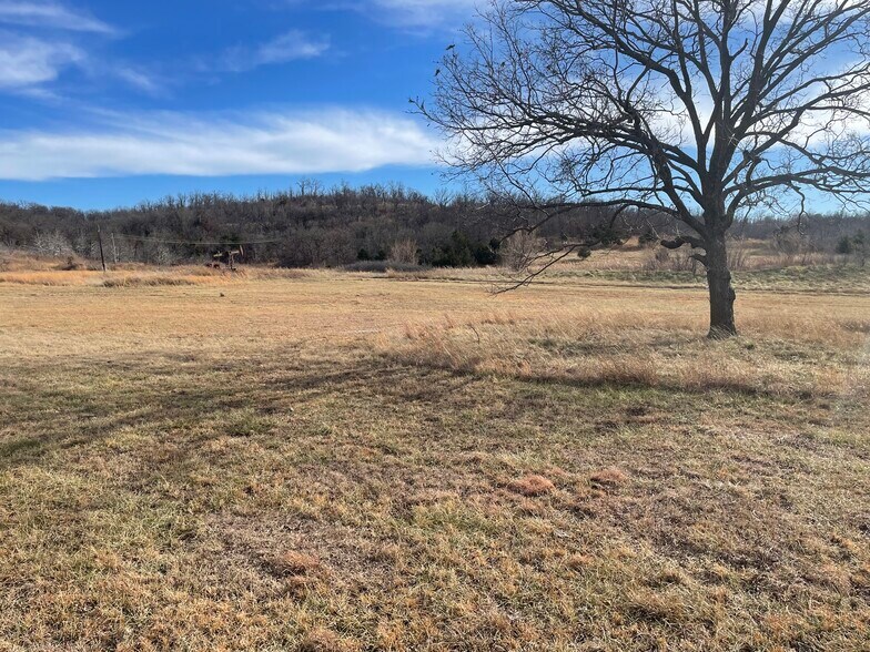 More Photos Of 295 Amanda Lowery Rd, Cleveland Land For Sale