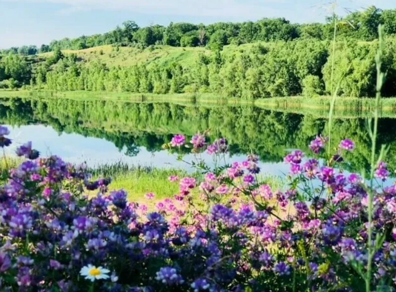 More Photos Of 13781 Buno Rd, Milford Land For Sale