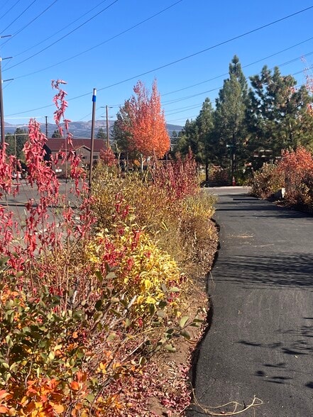 More Photos Of 10775 Pioneer Trl, Truckee Office For Lease