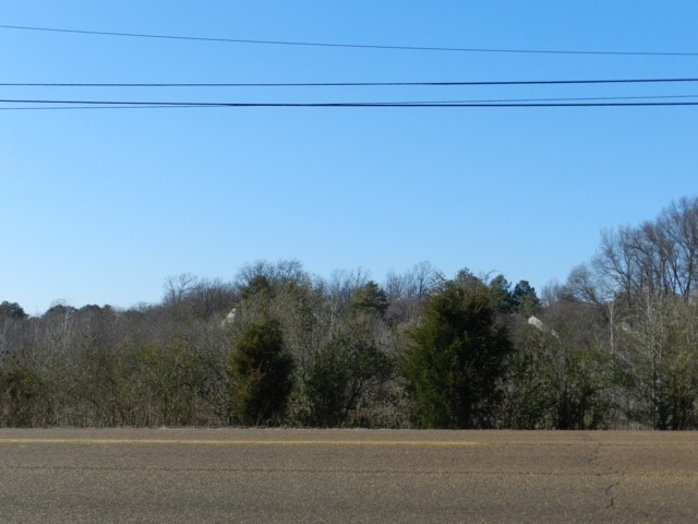 More Photos Of 0 Sycamore View Rd, Memphis Land For Sale