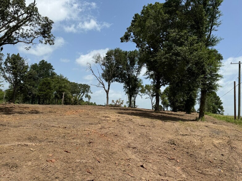 More Photos Of 16393 Highway 31, Tyler Land For Sale