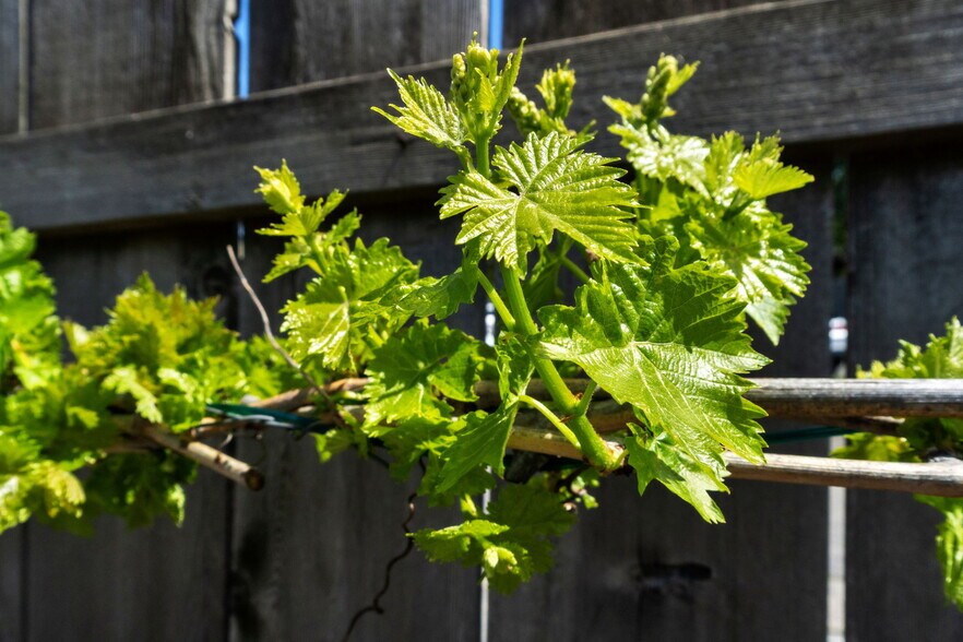 More Photos Of 3520 E Shields Ave, Fresno Medical For Sale