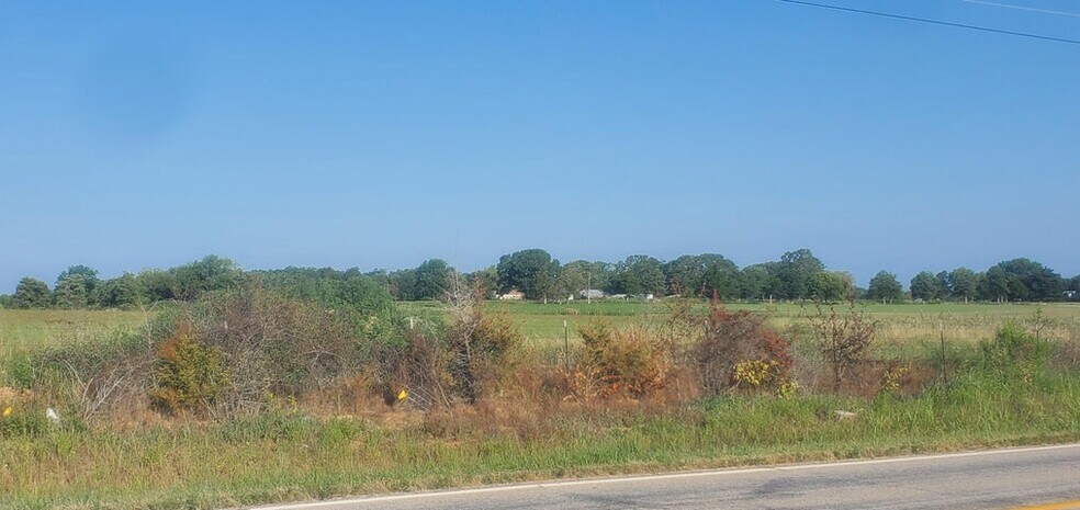 More Photos Of 000 State Highway 125, Rogersville Land For Sale