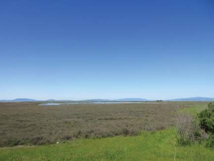 More Photos Of 815 Riverway Ln, Vallejo Land For Sale