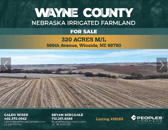 Primary Photo Of 848th Rd, Winside Land For Sale