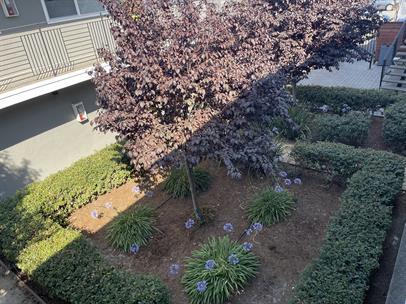 More Photos Of 1523-1527 8th Ave, Oakland Apartments For Sale