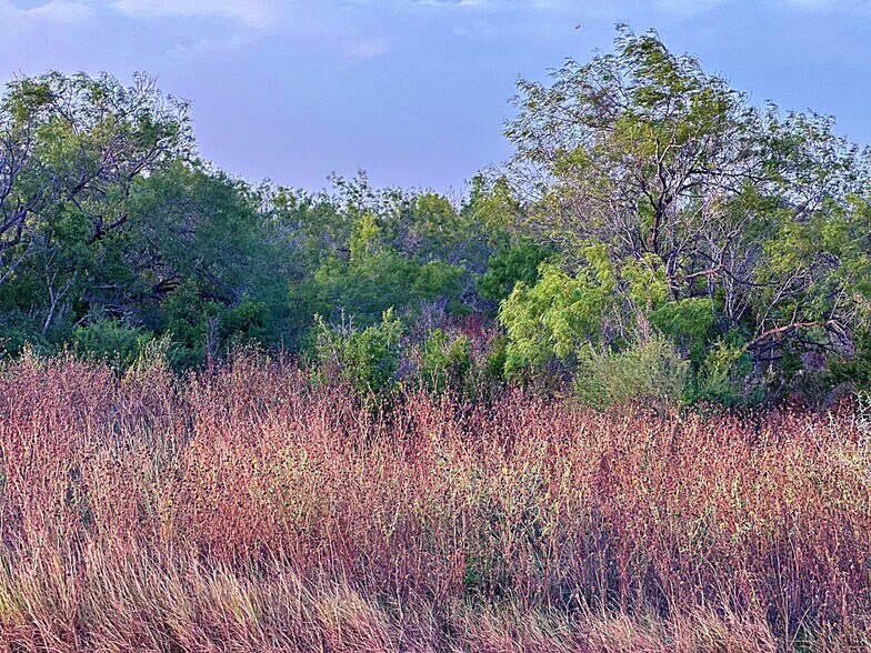 More Photos Of 0001 Highway 72, Tilden Land For Sale