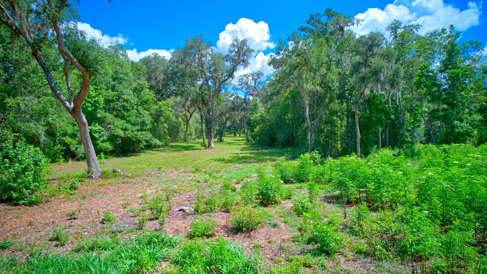 More Photos Of 3267 Neff Lake Rd, Brooksville Land For Sale