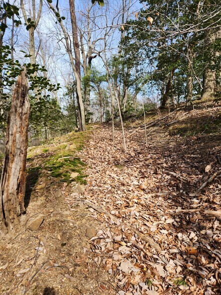 More Photos Of Lot 69 Plantation, Montross Land For Sale