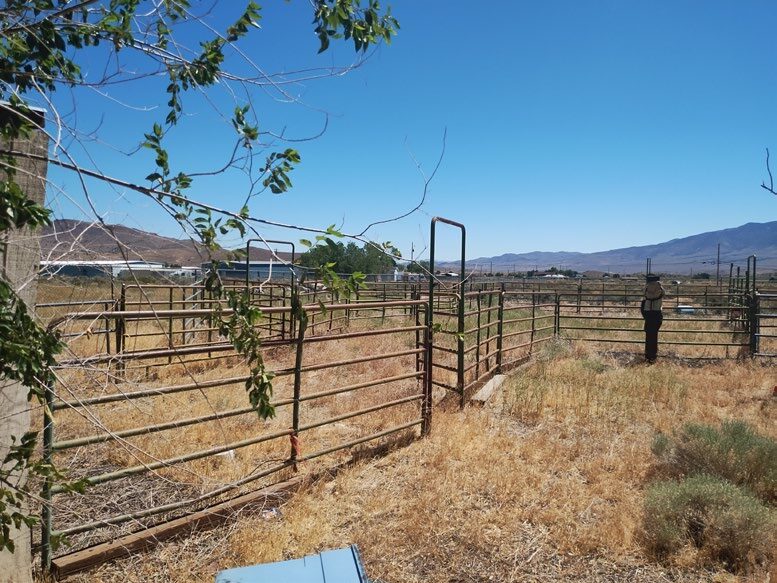 More Photos Of 40 Affonso Dr, Carson City Warehouse For Sale